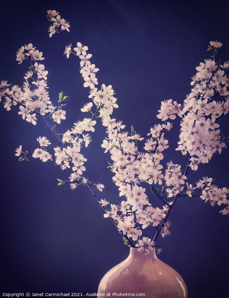 Sakura Dreams Picture Board by Janet Carmichael
