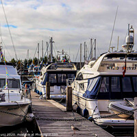 Buy canvas prints of Boats at the waterfront  by Julia Janusz