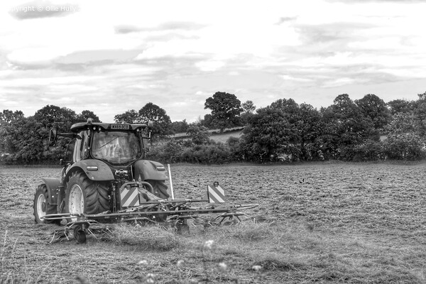 Black and white Tractor in a field  Picture Board by Ollie Hully