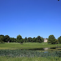 Buy canvas prints of Lydiard Park Swindon by Ollie Hully