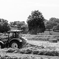 Buy canvas prints of Tractor lining up the hey ready to bale in black and white by Ollie Hully