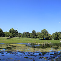 Buy canvas prints of Lydiard Park lake and gardens near swindon by Ollie Hully