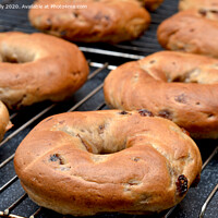 Buy canvas prints of freshly cooked cinnamon and raisin bagels  by Ollie Hully