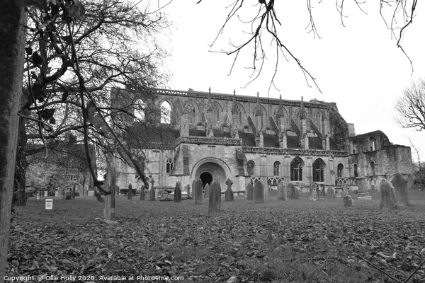 Malmesbury Abbey through the trees Picture Board by Ollie Hully