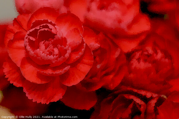 Red carnations digital art Picture Board by Ollie Hully