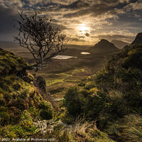 Buy canvas prints of Sunrise at the Quiraing by Matt Hill