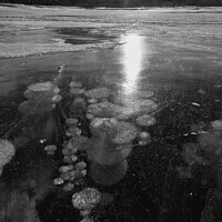 Buy canvas prints of Frozen Ice bubbles on Abraham Lake by Matt Hill
