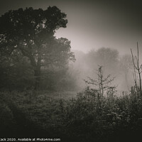 Buy canvas prints of Misty Mornings by Jason Atack