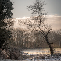 Buy canvas prints of A Winters Morning by Jason Atack