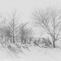 Buy canvas prints of Winter Morning by Jason Atack