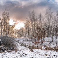 Buy canvas prints of Winters Day by Jason Atack
