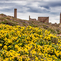 Buy canvas prints of Tin Mines by Paul Richards
