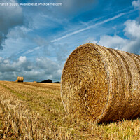 Buy canvas prints of Hay bale in the sunshine by Paul Richards