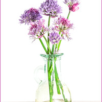 Buy canvas prints of Purple Flowers by Clare Edmonds