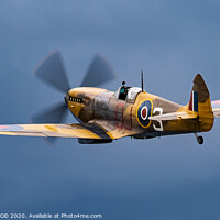 Buy canvas prints of Spitfire into the Blue by MARTIN WOOD