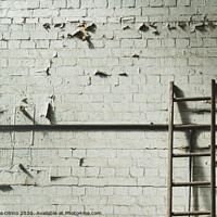Buy canvas prints of Brick Wall  by Marianna Obino