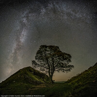 Buy canvas prints of Sycamore Gap and Milky Way  by Robin Hunter