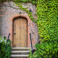 Buy canvas prints of Ivy Doorway by Harris Maidment