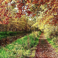 Buy canvas prints of Union canal Winchburgh West Lothian Scotland  by Peter Dalton