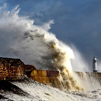 Buy canvas prints of Storm Wave  by Mark Brinkworth