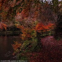 Buy canvas prints of Autumn Walk by Jim McGarvie