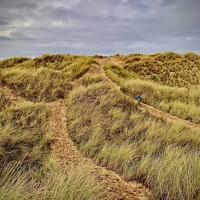 Buy canvas prints of Port Talbot sand dunes  by Zoe Burke