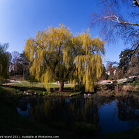 Buy canvas prints of Paradise in a Park by Mark Ward