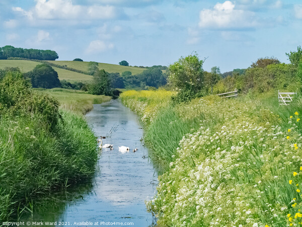 Royal Military Canal at Pett Level Sussex. Picture Board by Mark Ward