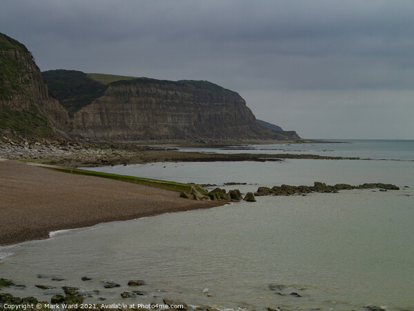 Hastings Cliffs at Low Tide Picture Board by Mark Ward