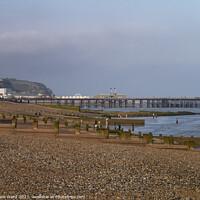 Buy canvas prints of Hastings Pier in the Early Evening by Mark Ward
