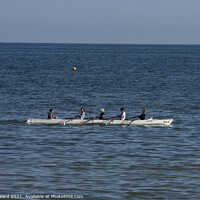 Buy canvas prints of Four Man Rowing at Bexhill by Mark Ward