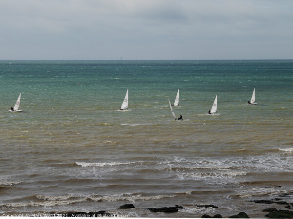 Sailboats at St Leonards. Picture Board by Mark Ward