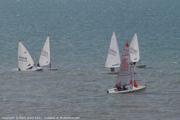 Sailboat Frenzy. Picture Board by Mark Ward