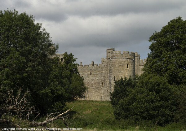 Bodiam Castle Through The Trees Picture Board by Mark Ward