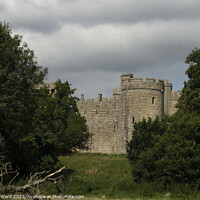 Buy canvas prints of Bodiam Castle Through The Trees by Mark Ward