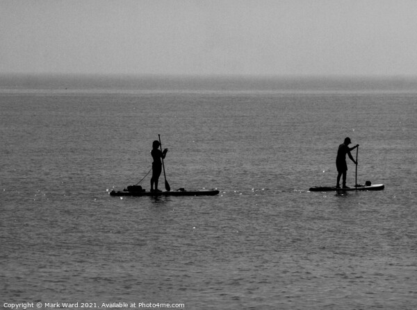Paddleboard Silhouettes in Monochrome. Picture Board by Mark Ward