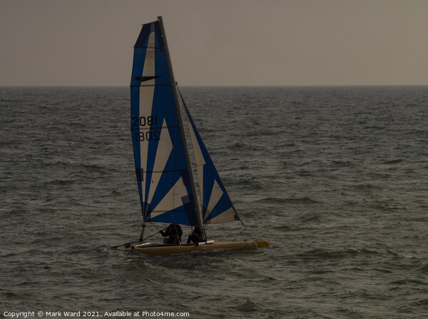 Catamaran Sailing in Bexhill. Picture Board by Mark Ward