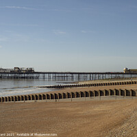 Buy canvas prints of Hastings Pier after the Fire. by Mark Ward