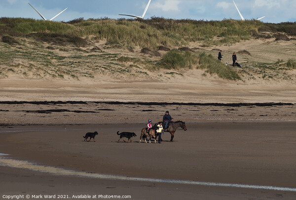 Autumn Activity on Camber Sands. Picture Board by Mark Ward