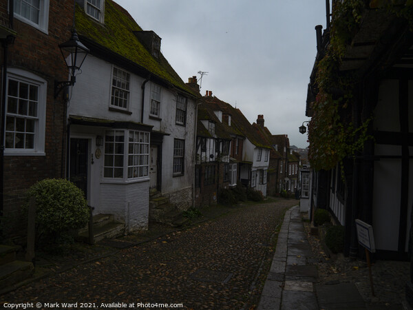 A Cobbled Rye Street in Autumn. Picture Board by Mark Ward
