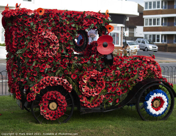 Poppy Car in Bexhill. Picture Board by Mark Ward