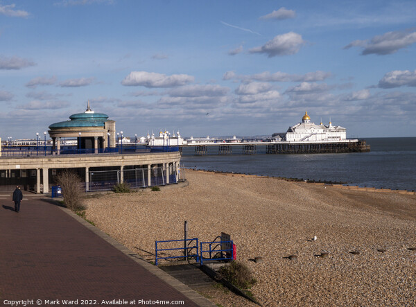 Eastbourne Pier and Bandstand. Picture Board by Mark Ward