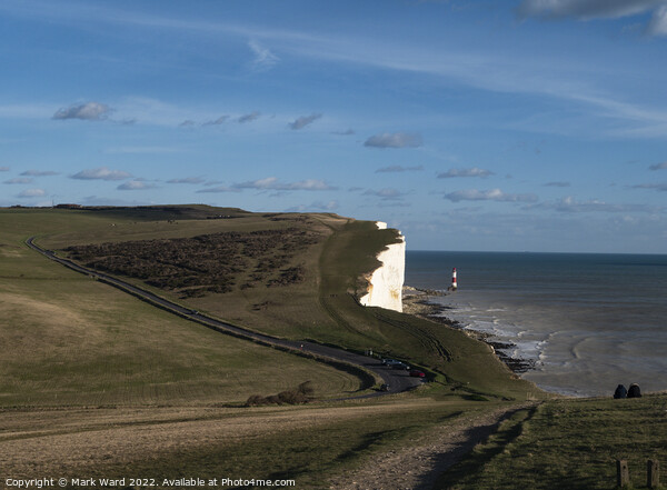 Beachy Head and the Lighthouse. Picture Board by Mark Ward