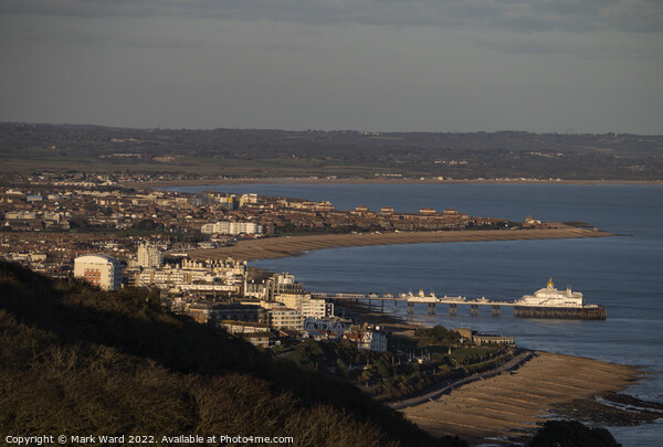 Eastbourne from the Cliffs. Picture Board by Mark Ward