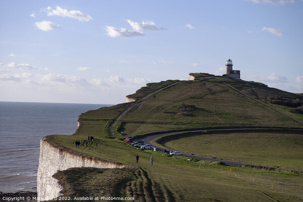 Belle Tout Lighthouse and the Beachy Head Cliffs Picture Board by Mark Ward