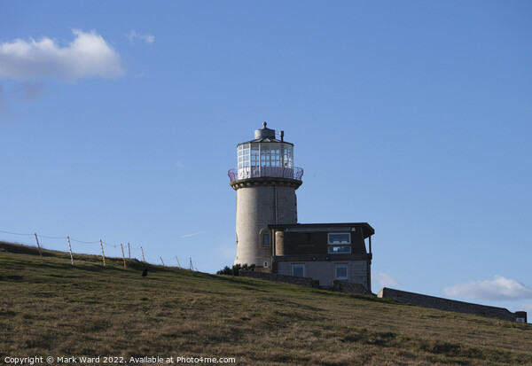 Belle Tout Lighthouse on the Beachy Head cliffs. Picture Board by Mark Ward