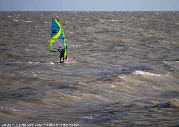 Bexhill Winter Windsurfing. Picture Board by Mark Ward