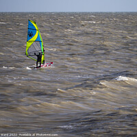 Buy canvas prints of Bexhill Winter Windsurfing. by Mark Ward