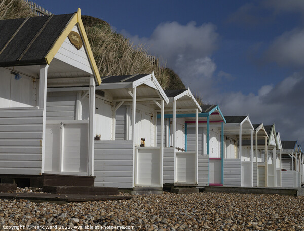 Beachhuts of Bexhill. Picture Board by Mark Ward