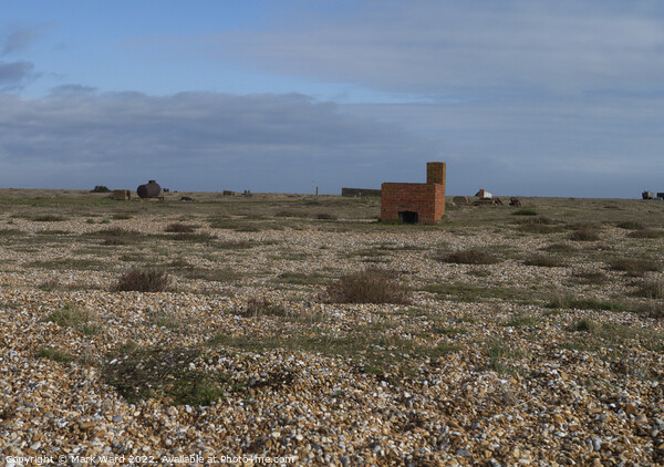 Dungeness. An Oddity. Picture Board by Mark Ward